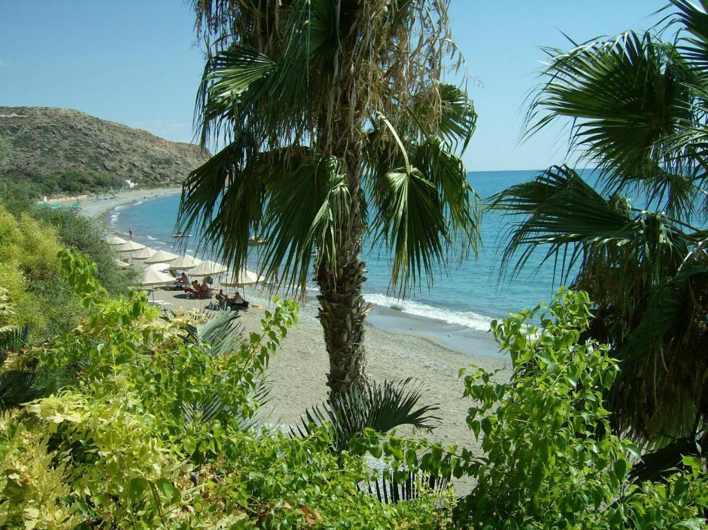 Patriko Village Home Pissouri Buitenkant foto
